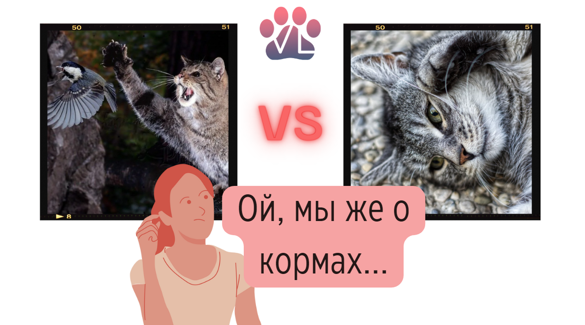 Корма Ночной охотник и Милый котик / мнение ветеринара | Ветеринарный  диетолог vetLIFE | Дзен