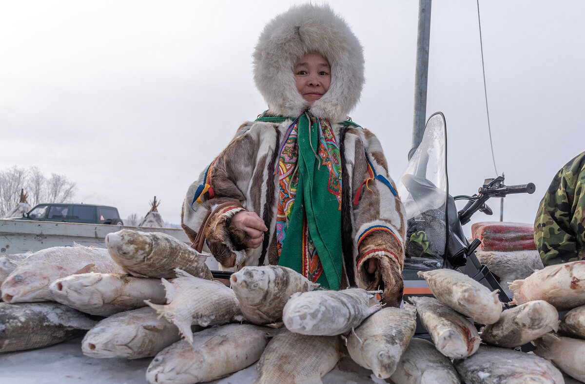 Полуостров Ямал Салехард