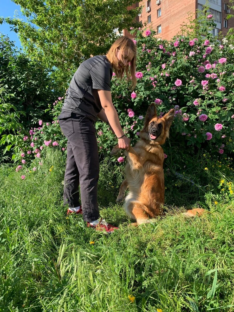 Виталия Гусева - кинолог РКФ. Метис Дакота.