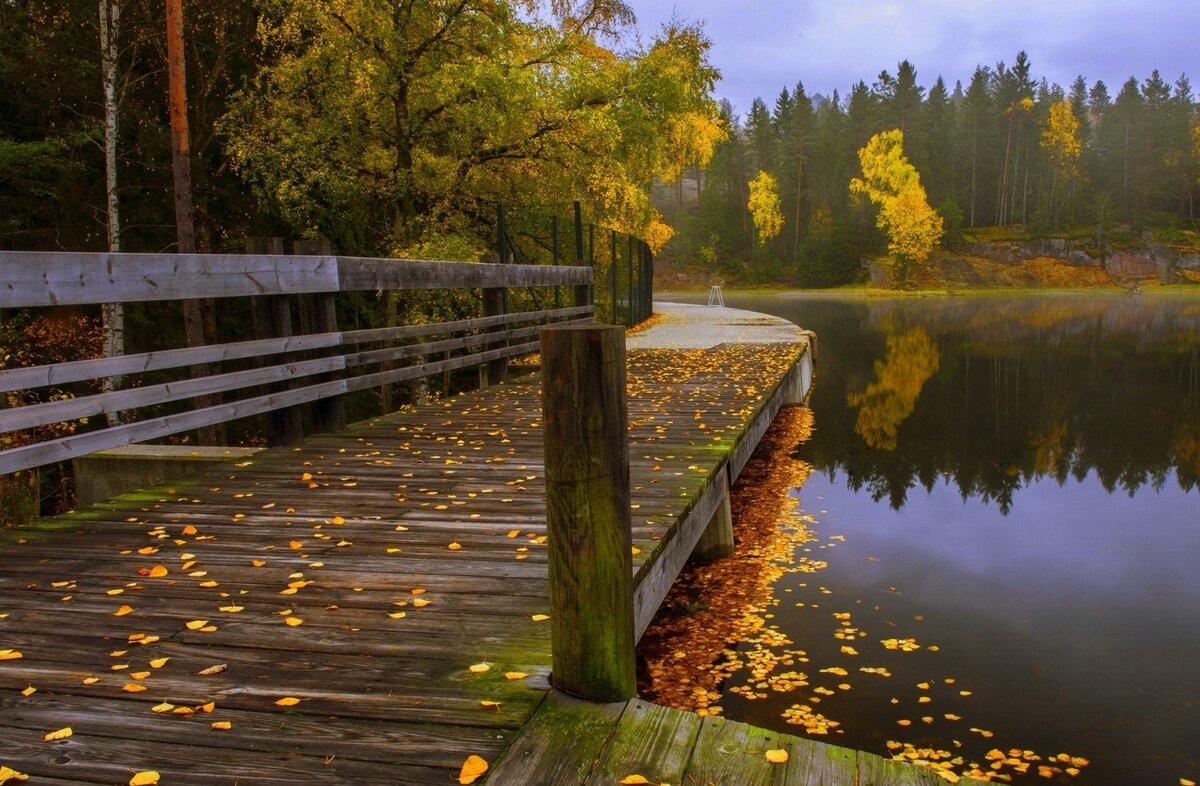Осень на озере мосток