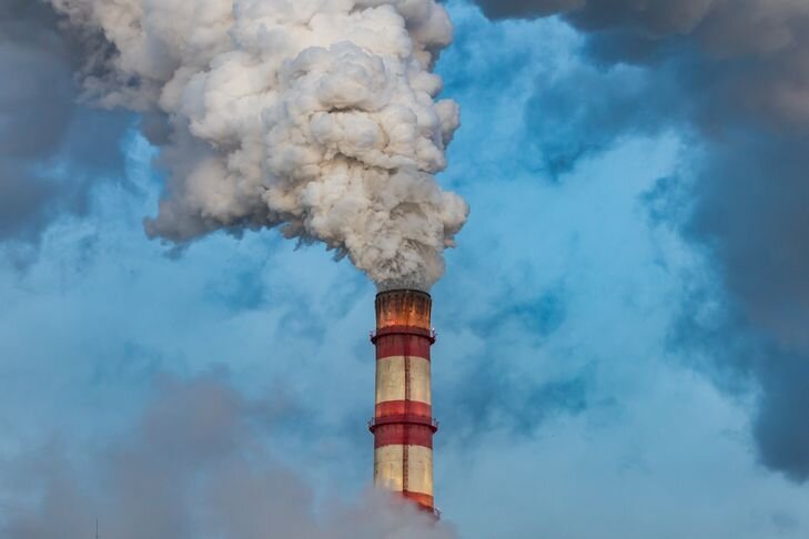    Фото Андрея Заржецкого