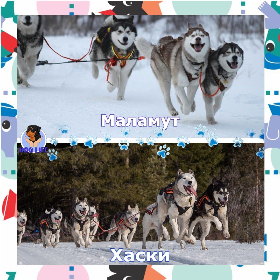 Подписывайтесь на канал, у нас много интересного и полезного!