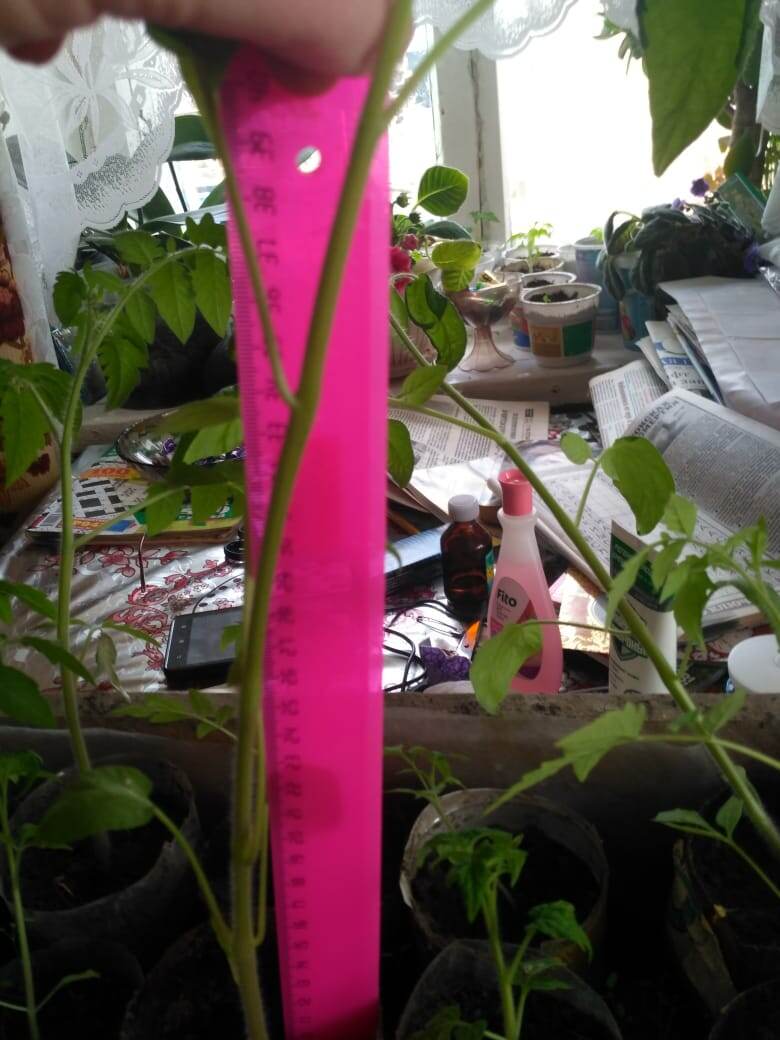 Уже можно разделить.