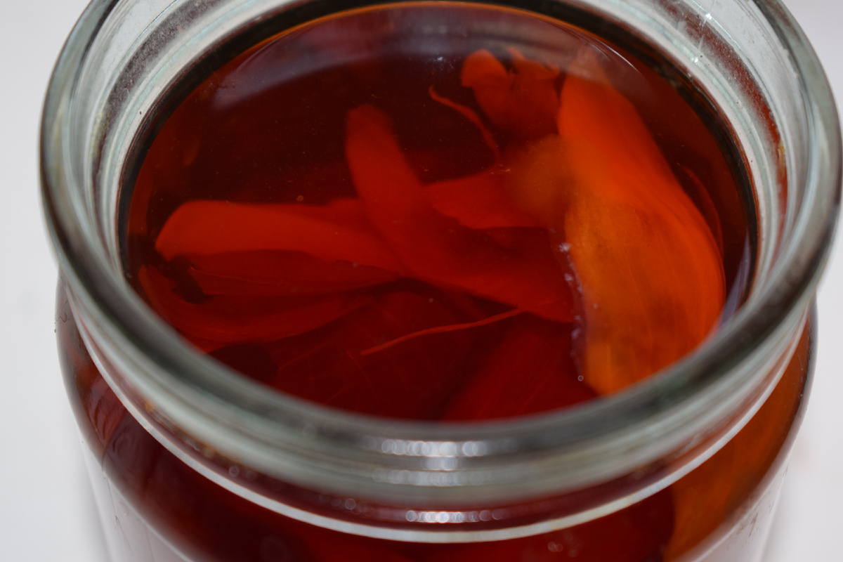 раствор луковой шелухи(фото автора)2020