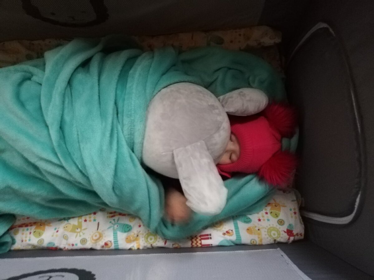 Спит зимой под пледом в обнимку с любимой игрушкой) Сверху будет натянут пледик на полманежа, для темноты и чтобы не дуло на лицо. На ножки положу одеяло, все таки 10 градусов.