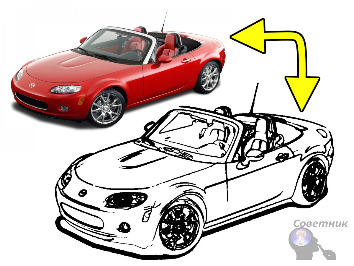 цвет в ч/б контур