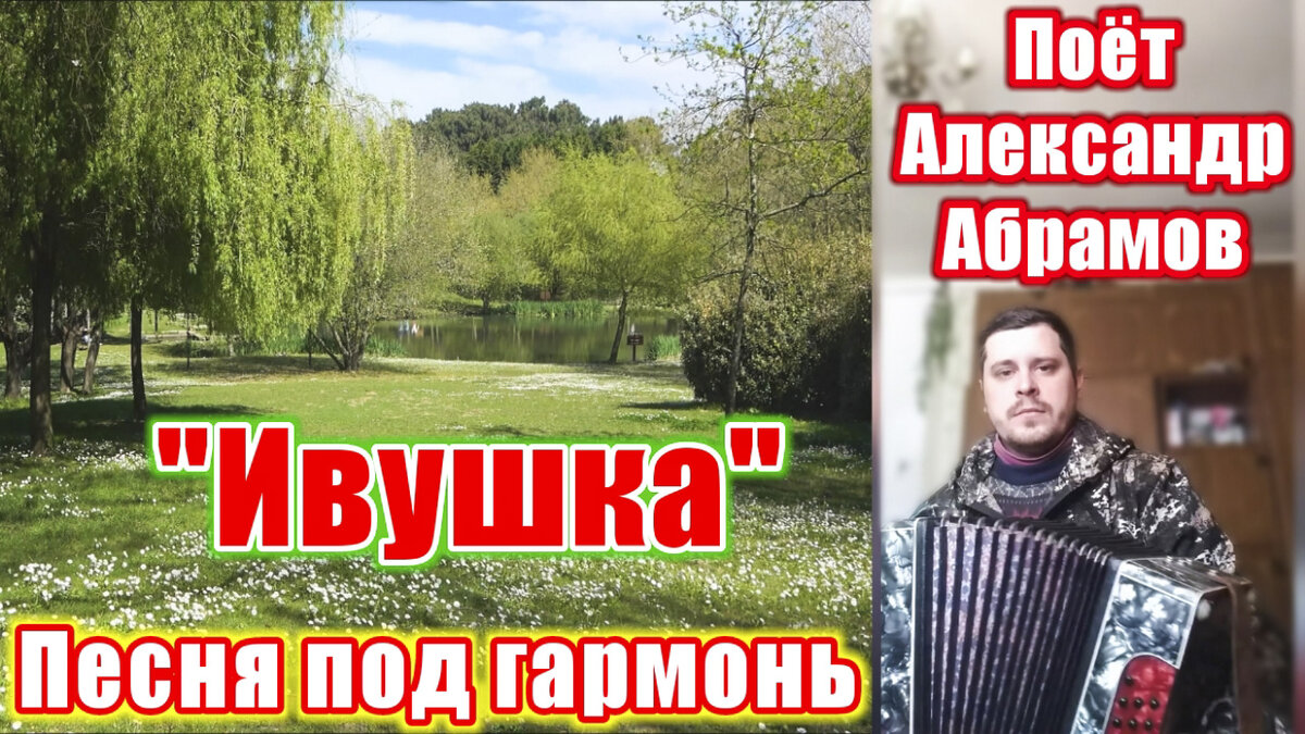 Песня ивушка минусовка. Ивушки песня. Гармошка Ивушка. Гармонь Ивушка фото.