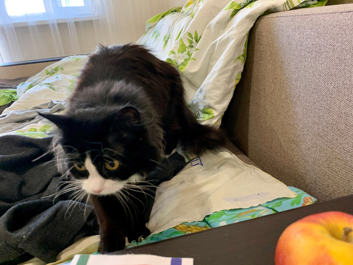 Разминка перед сном