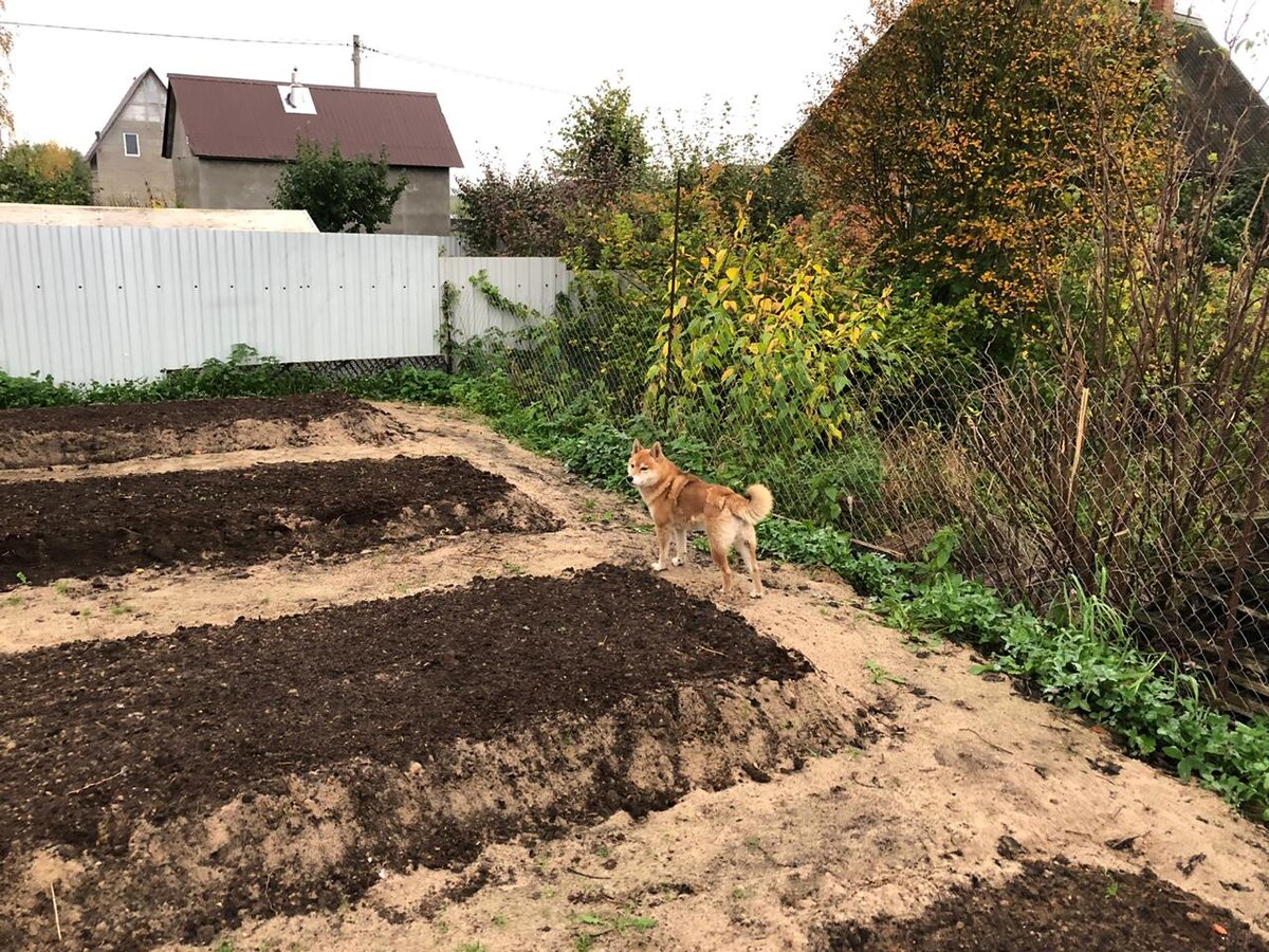 Отличное решение