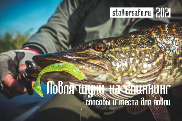 Интернет-магазин Stalkersae.ru