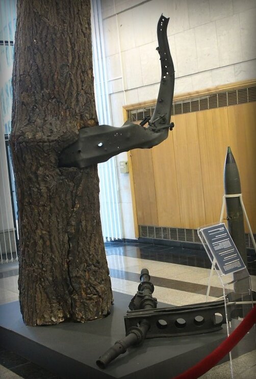 Дерево с места гибели И. А. Флёрова