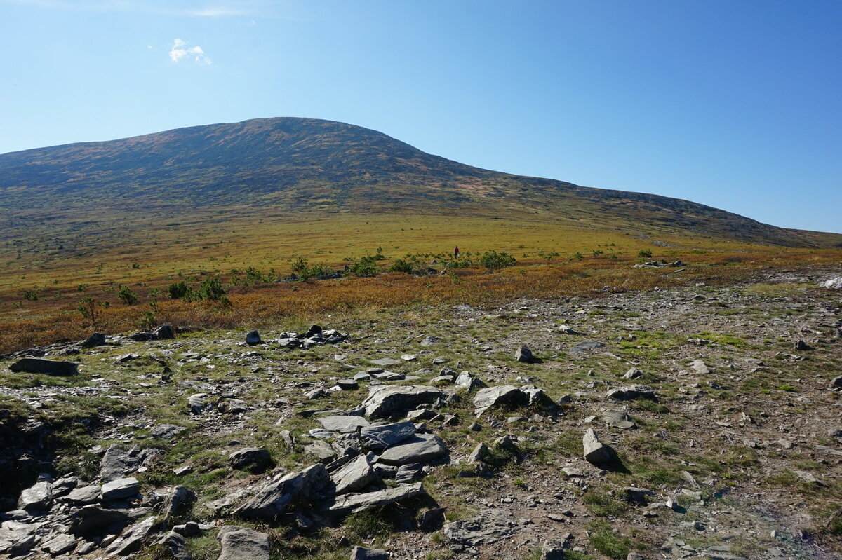 Фото из открытого источника.