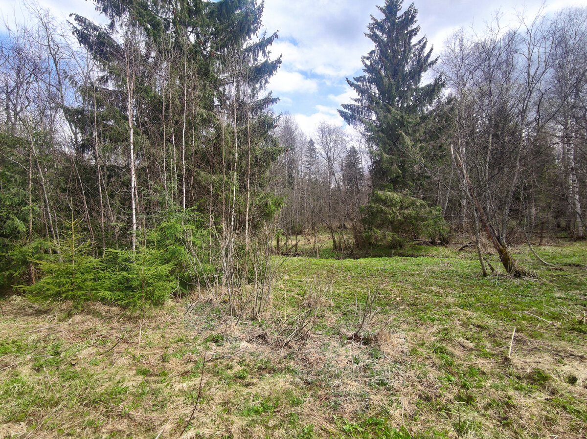 Нам прямо. Где-то впереди дом