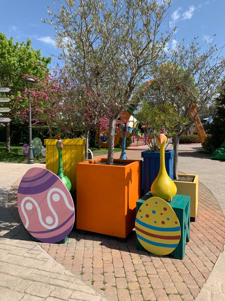 Смотрите, какие у нас забавные курицы!