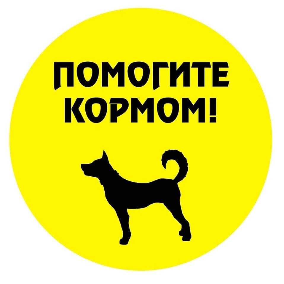 #приютКопейск#Копейск#весна#помощь 