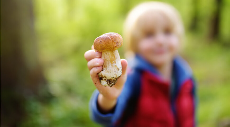 Больше о витаминах и в каких продуктах они содержатся см. на www.gastronom.ru