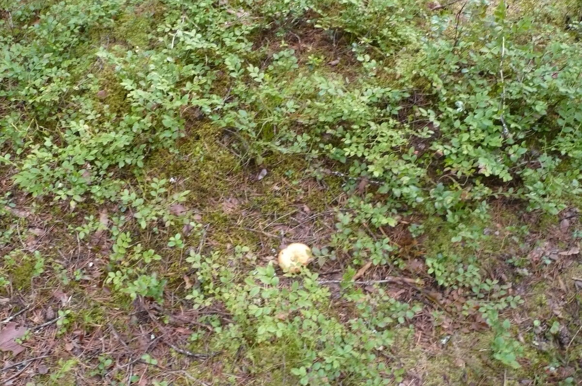 Фото из личного архива 