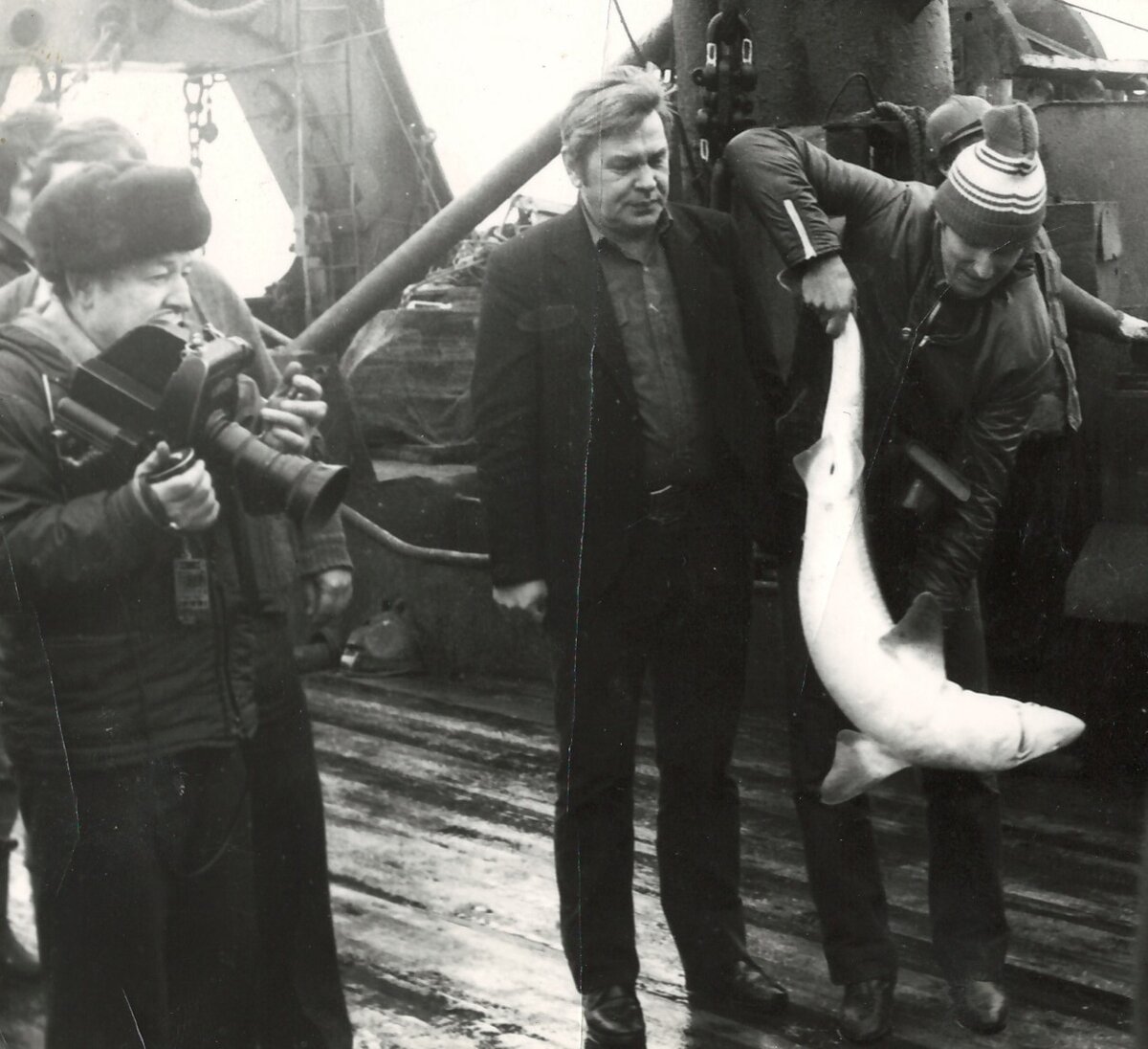 Мое первое знакомство с черноморской акулой, 1982 г. Фото из архива автора.