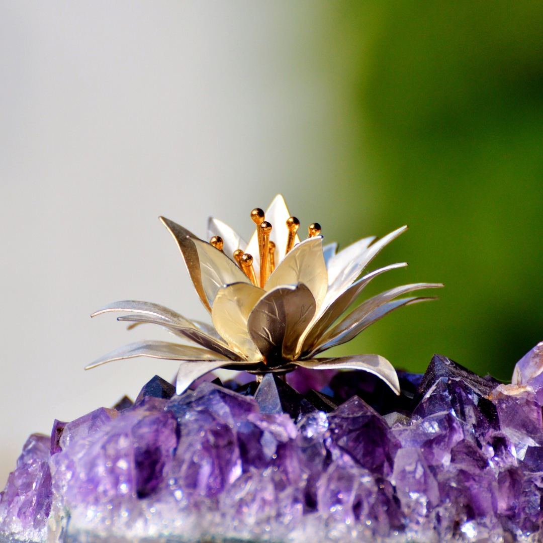 Фото из доступных источников интернета