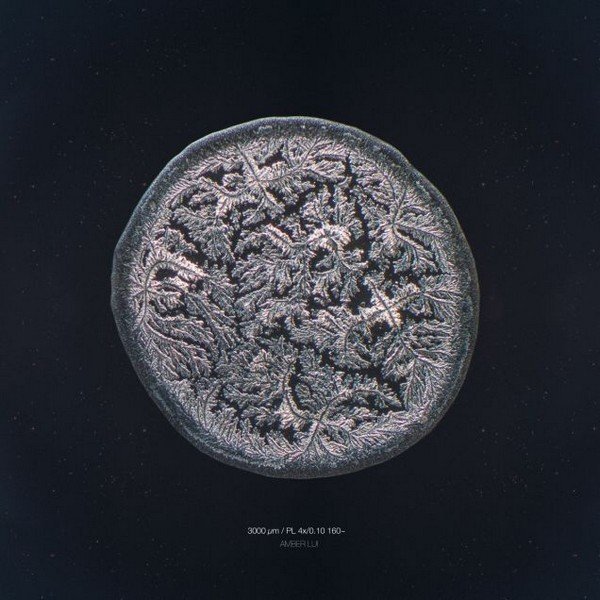 Рефлекторные. Слезы, генерируемые при раздражении роговицы ветром, ментолом, едким дымом или парами лукового сока. В данном случае жидкость вырабатывается в самых больших объемах.