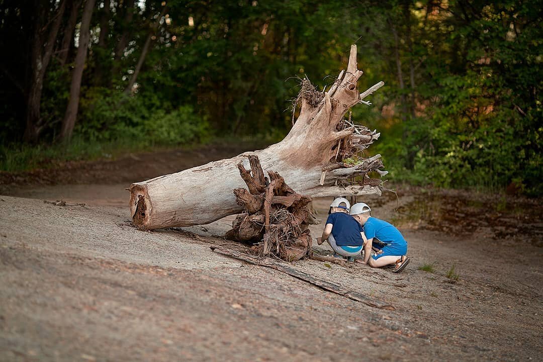 Дети автора