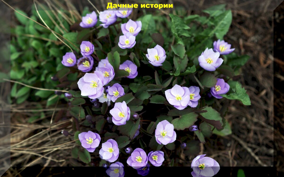 https://vk.com/photo-159774511_457247300