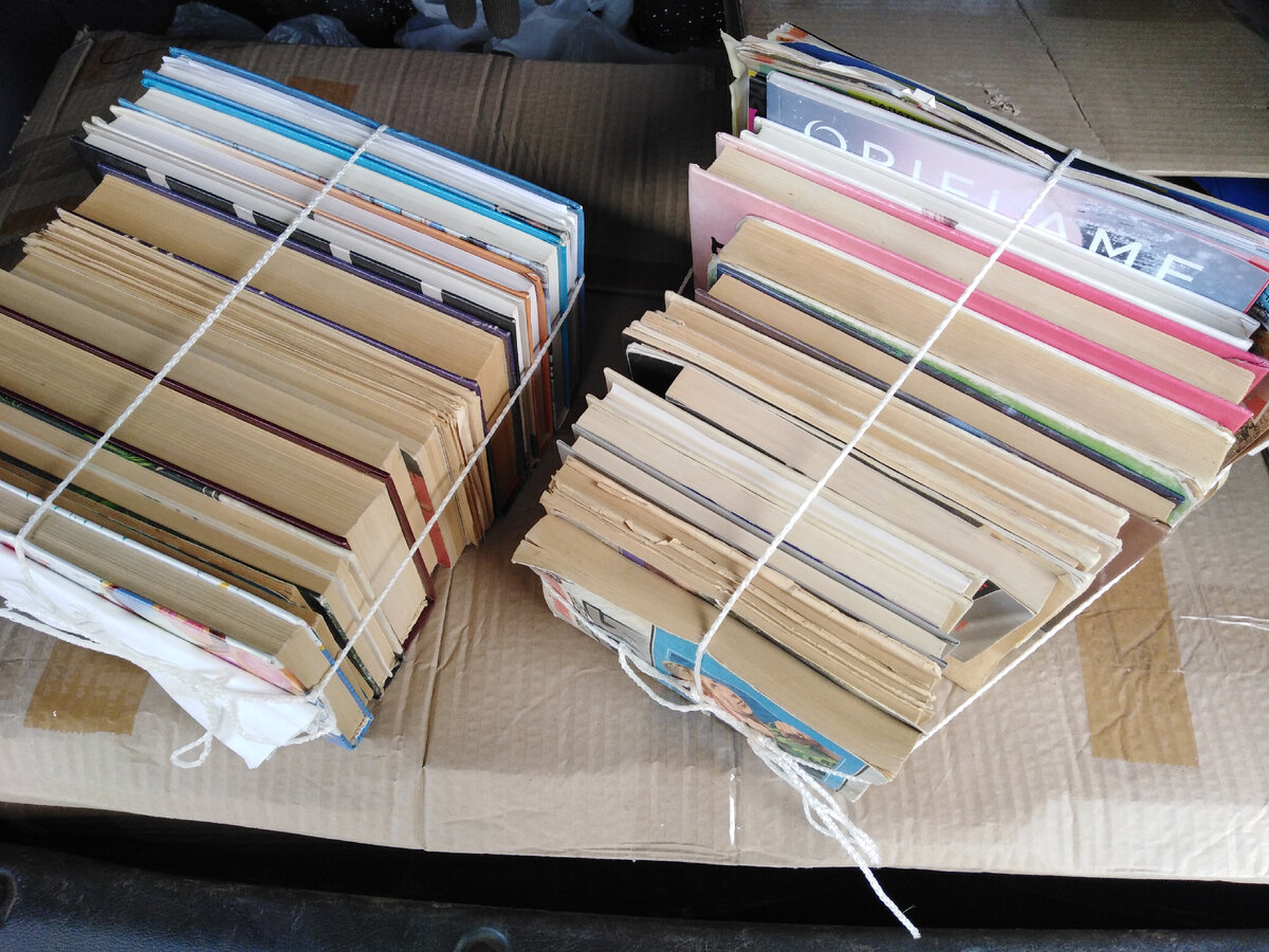 Фото автора.