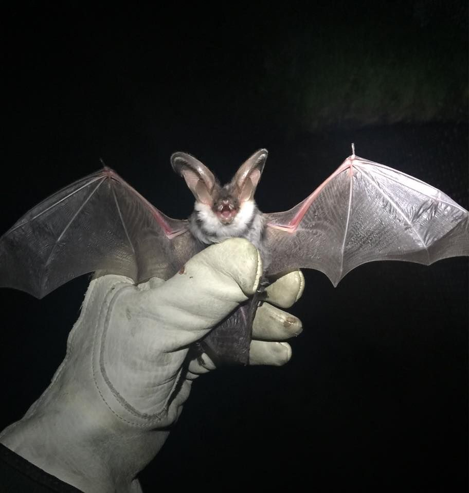 Тот случай, когда название точно не врёт.