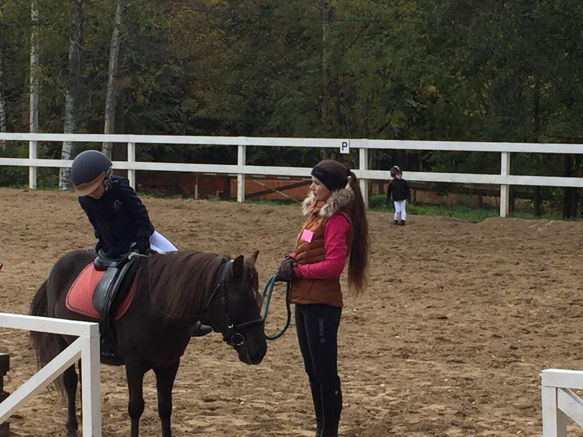Фото: Ферма в «Деревне Зюзино»