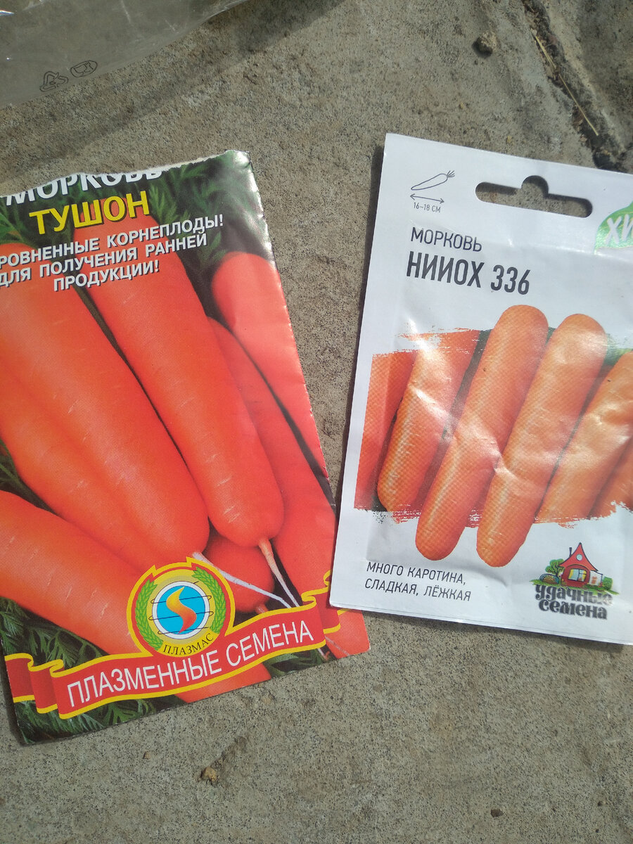 в этом году выбор пал на эти сорта морковки