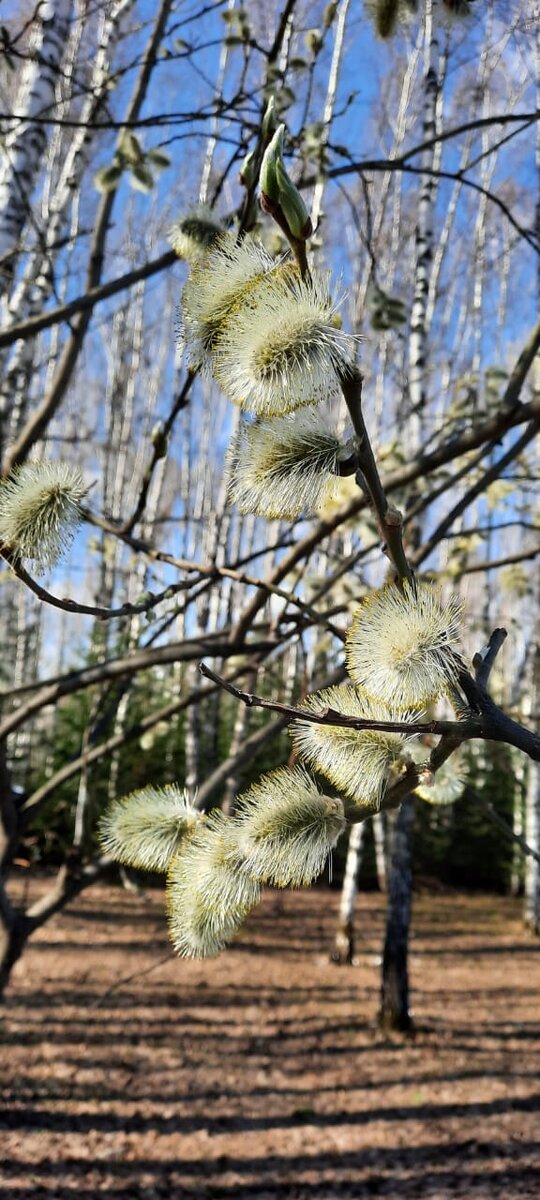 А ваш брак жизнеспособен после рождения ребенка?