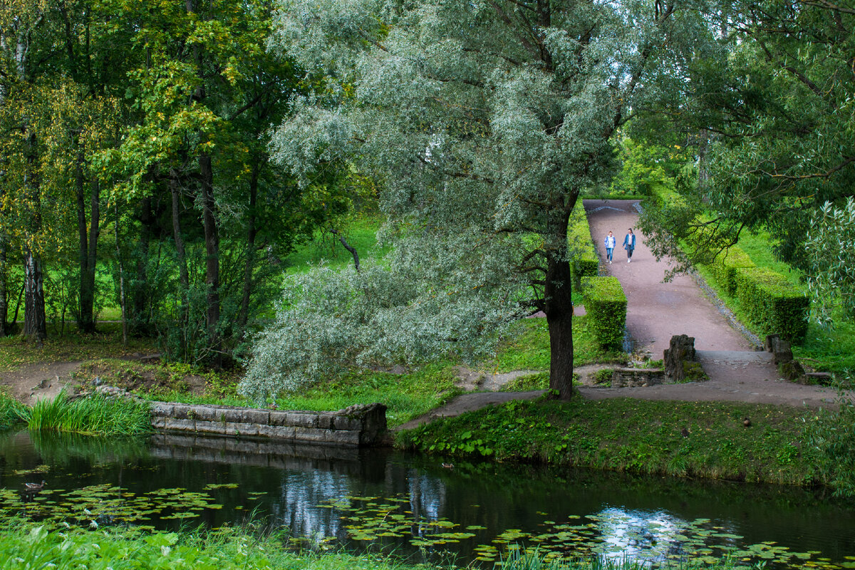 Вид на уголок парка с плотиной и Горбатым мостиком с возвышения возле дворца