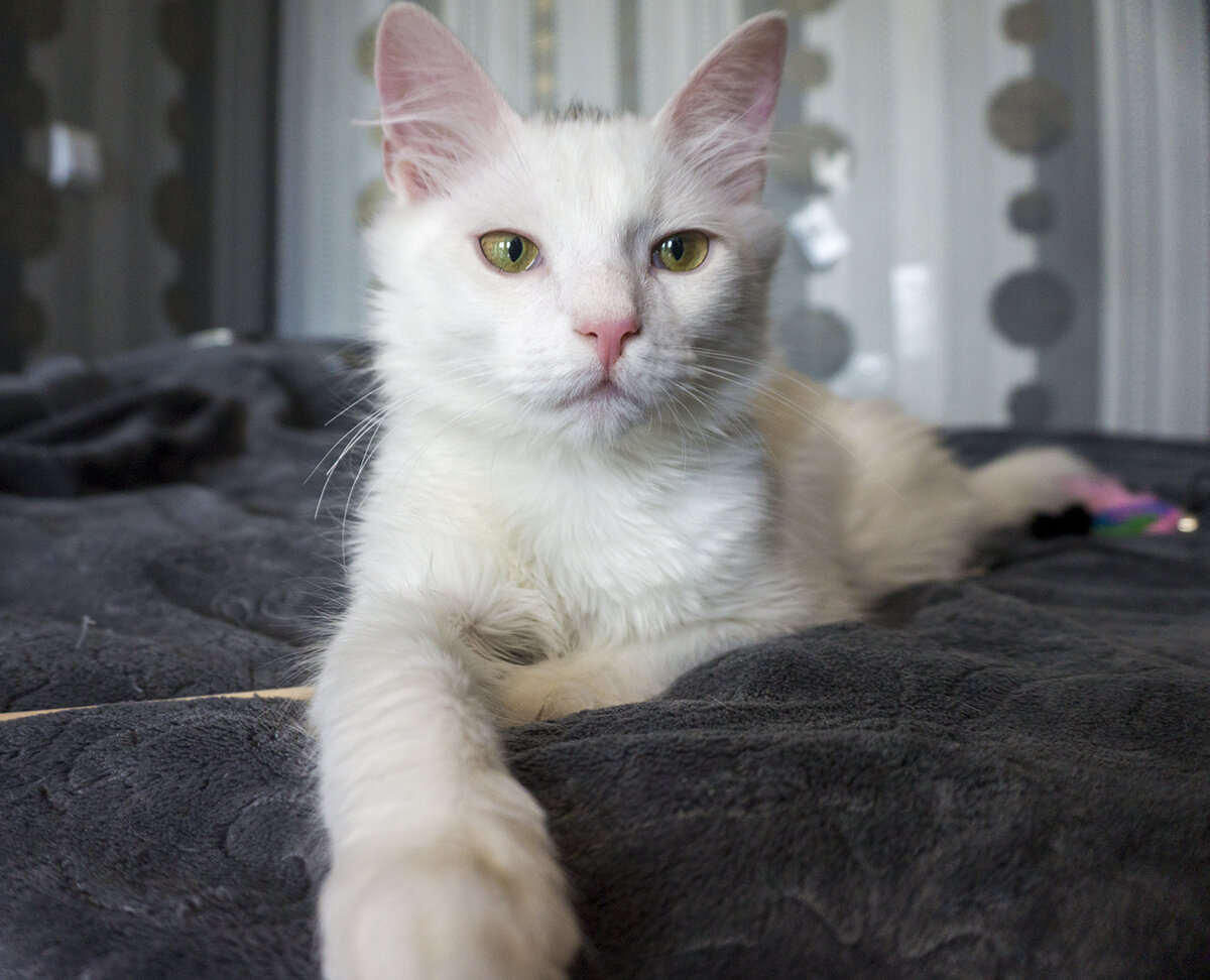 Фотография автора