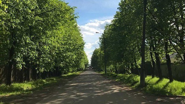 Аллея ветеранов до вырубки. Фото: «Одинцово-ИНФО»
