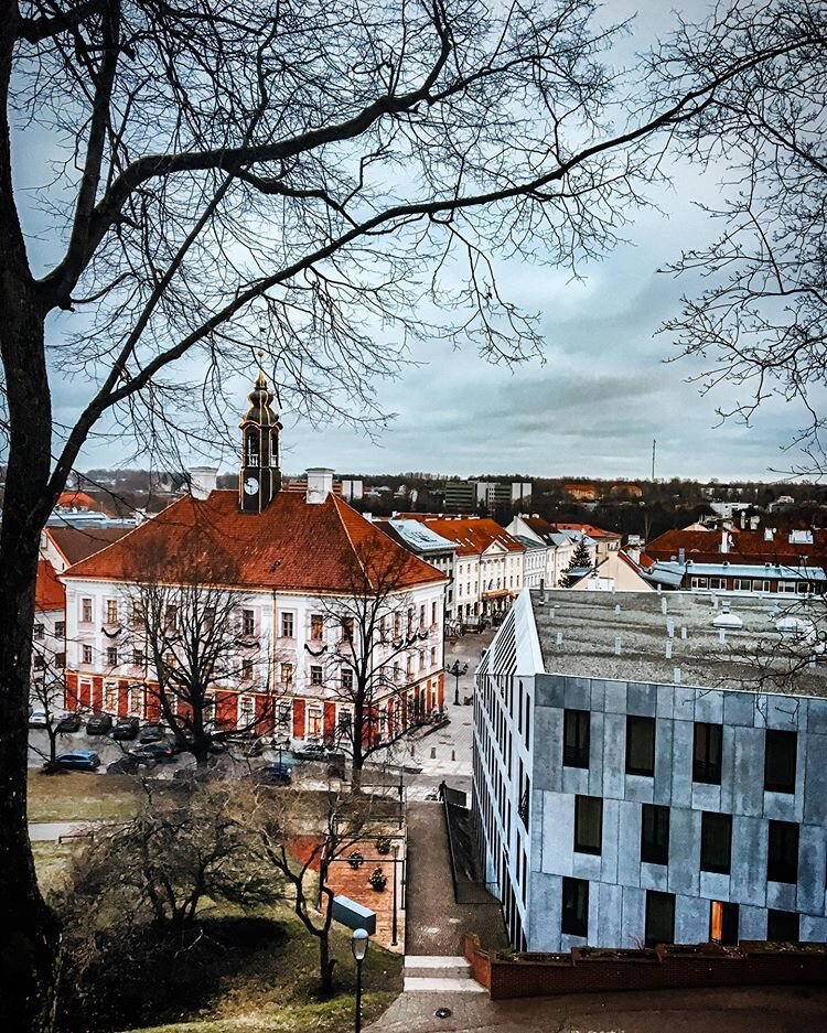 Крыши Тарту