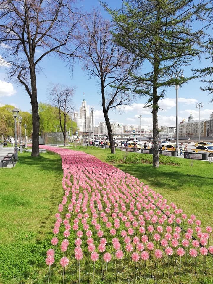 В парке "Зарядье". Источник: Facebook / Виктория Логинова 