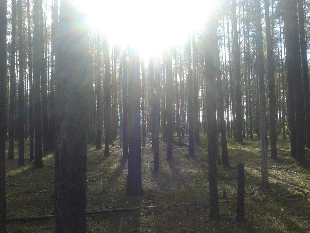 Фото "Зов вечного".