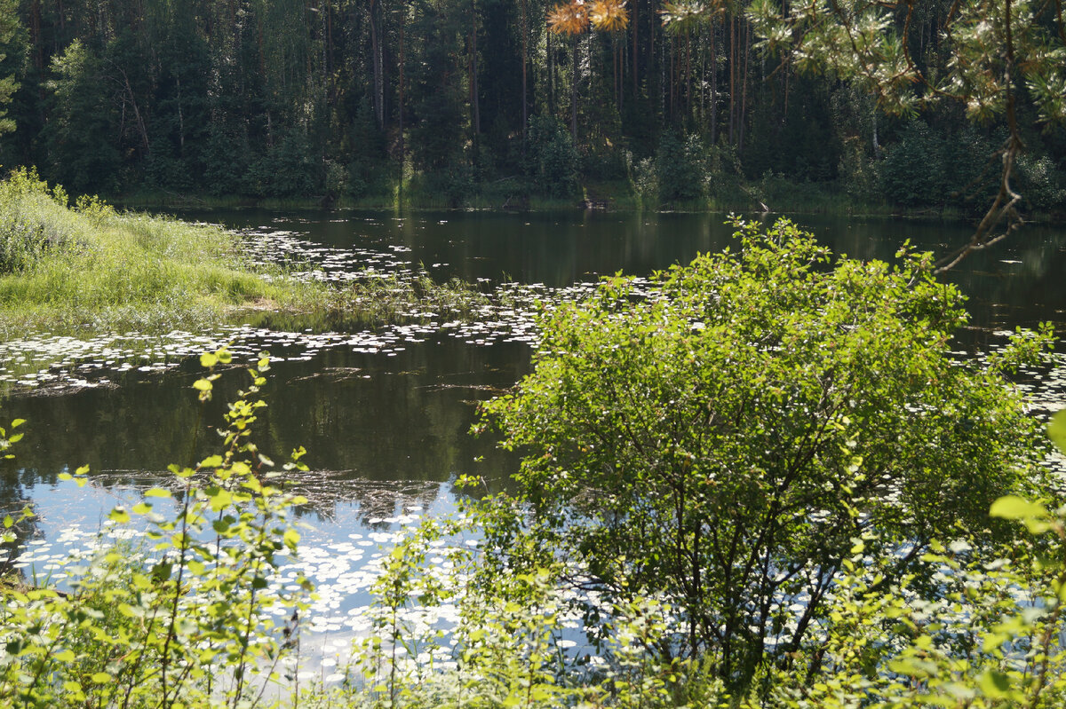 Фото Анны Демаковой