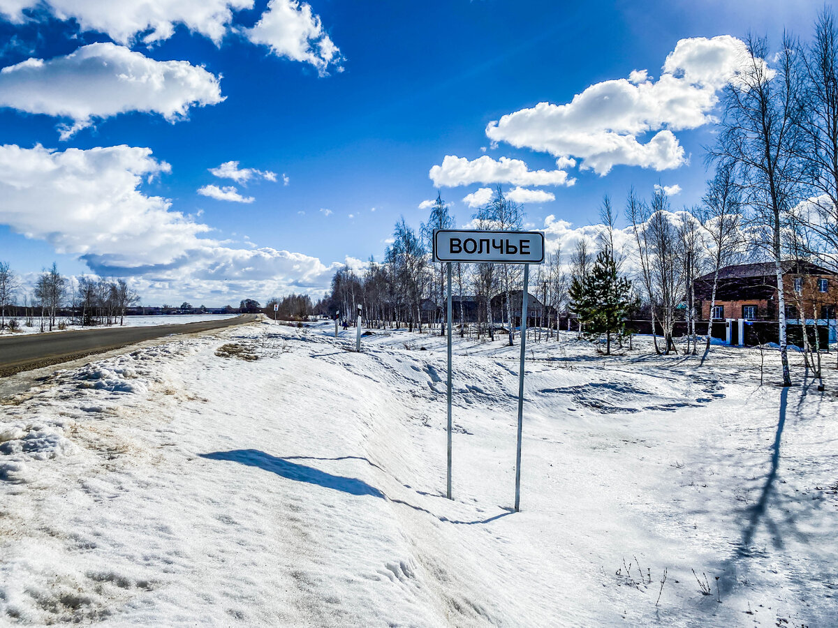 Село Волчье. Село Волчье магазины. Село Волчьи дворы.