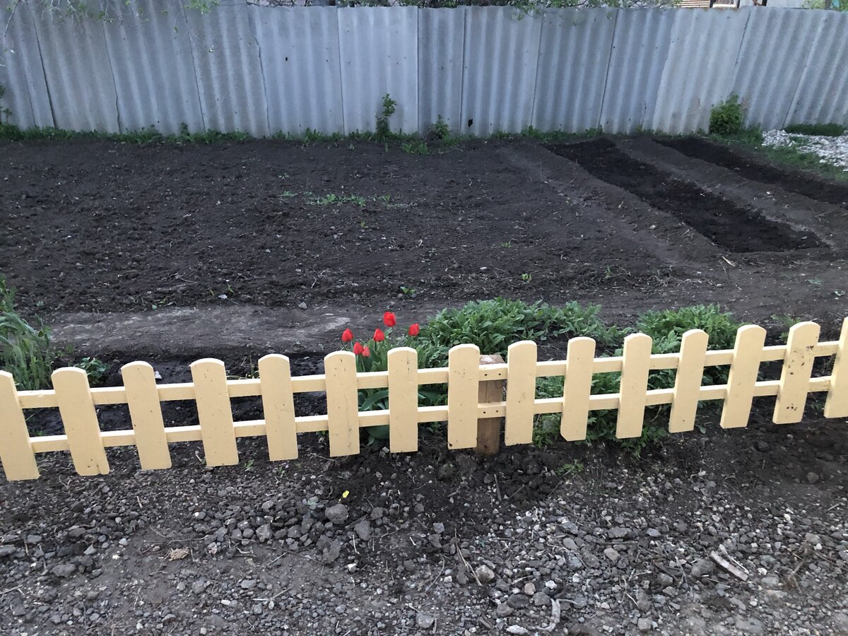 готовая изгородь.