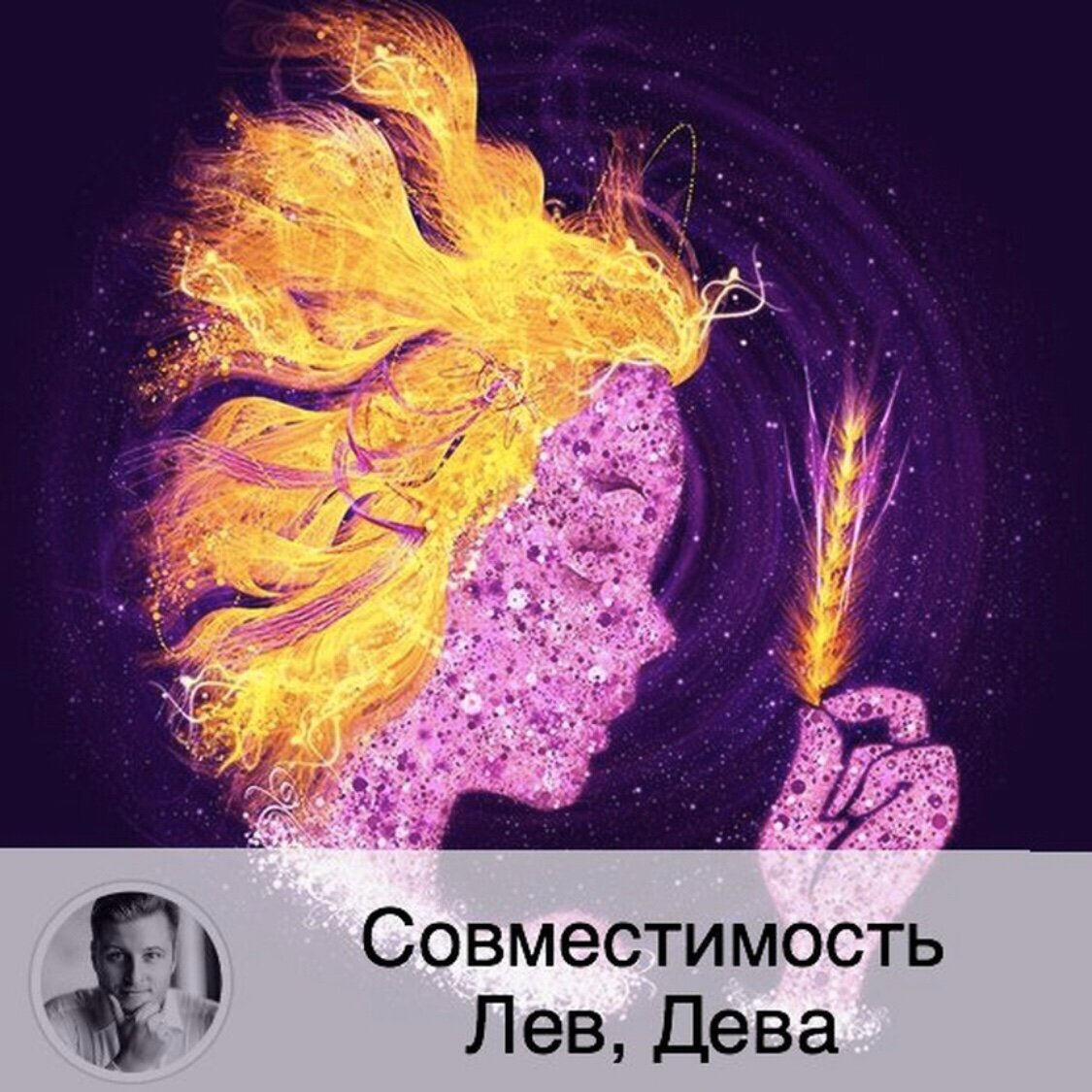 Подписывайтесь на наш канал, друзья!
Лев – Водолей Это противопоставленные знаки, то есть у каждого из них есть то, чего не достает другому. Пусть даже они не признают этого. Оба упертые, любят сюрпризы, мыслят прогрессивно, великодушны и благородны, коммуникабельны и могут быть превосходными ораторами, организаторами. И все же Водолею нужно перенять у Льва теплоту, чувство собственного достоинства, надежности и постоянства. А Льву у Водолея – беспристрастность к критике, смирение и способность хотя бы иногда признавать свою неправоту. В паре Лев – Водолей главой, конечно, должен быть Лев. Их дружба крепка, Водолей очень ценит львиные преданность и смелость.  

Лев – Рыбы
В данном союзе Рыбы позволяют господство Льва над собой. Им так легче. И меньше ответственности. Сами они не очень склонны к принятию кардинальных решений и смене направления. Даже если Рыбы не против покомандовать Львом, у них это никогда не получится. У Рыб гораздо лучше выходит поклонение и восхищение превосходством Льва, и это ему, безусловно льстит. В ответ Лев очень заботлив и нежен к Рыбам. Поэтому их пара имеет хорошие перспективы. Рыбы дарят нежность и понимание Льву, а Лев взамен – безопасность во всех смыслах этого слова. 

Дева – Дева
Девы – самые здравомыслящие из всех знаков зодиака. Однако это не относится к их умению лелеять свои проблемы и культивировать тревоги. Девы ставят внимание к мелочам выше терпимости и такта. Логика для них превыше всего. В этой паре, естественно, у партнеров много общего. И для достижения гармонии им необходимо научиться получать удовольствие от такой совместимости, а не придираться, по привычке, друг к другу. Им не хватает терпения, а также порой и чувства самоиронии для того, чтобы их отношения стали идеальными.

Дева – Весы
Весы – дружелюбны, веселы, общительны и любят вечеринки. Дева восхищается логикой Весов, их красноречием и оптимизмом. Ей очень нравится общество Весов. Отношения в этой паре с самого начала будут прекрасными: спокойными и стабильными. Пока Девы не вспомнят о своей натуре, и начнутся мелочные придирки к партнеру. Но в общем Дева понимает, что у Весов гораздо больше достоинств, чем недостатков. Весы учат Деву быть проще, оптимистичнее и перестать помнить каждую неудачу. Весы восхищены работоспособностью Дев, а Девам не нравится лень Весов (хотя это по сути не лень, а способ сохранять равновесие, которое для Весов крайне важно). 

Дева – Скорпион
Им очень хорошо друг с другом. Есть много общего: осторожны, аккуратны, мудры и предусмотрительны, знают себе цену, оба знака не любят спонтанности, никогда не упустят удачу. Дева не будет соревноваться со Скорпионом и у нее абсолютно нет чувства зависти к нему. Поэтому Скорпиону нравится общество Девы, ему спокойно и комфортно с ней. Скорпион дарит Деве свои покровительство и преданность, учит ее быть увереннее в себе и уметь преодолевать дурное настроение. А Дева в ответ дает свою нежность и верность.

Дева – Стрелец
Эта парочка очень легко находит общий язык. Хотя Дева больше домашний знак, любящий уют и комфорт, постоянство, а Стрельцу всегда хочется чего-то нового, они с удовольствием вместе путешествуют. Деве нравится дружелюбие Стрельца, его снисходительность, свобода мысли и слова, а Стрелец ценит в Деве терпение и учтивость. Эти качества они перенимают друг у друга, таким образом совершенствуясь. Очень необычная пара на первый взгляд, но довольно перспективная. Дева благодарна Стрельцу, что он научил ее жить так, как хочется ей, а не как того требует общество. Дева становится более раскованной в этих отношениях, можно сказать, раскрывается с лучших сторон, обретая так нужную ей уверенность в себе.

