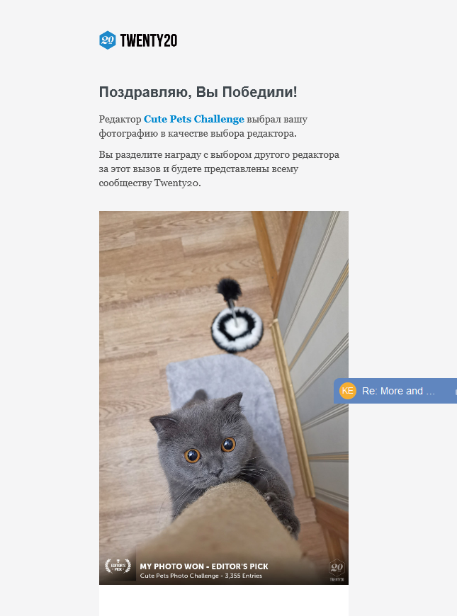 скриншот автора