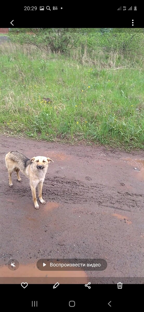 Стоп кадр с видео