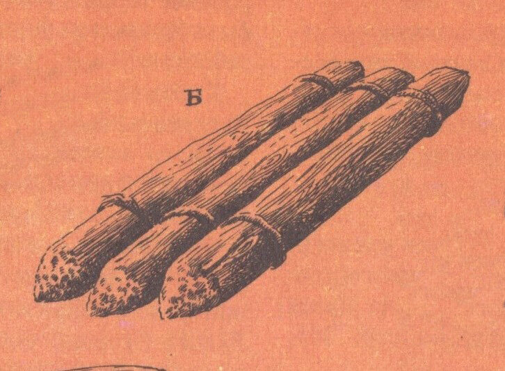 Плот