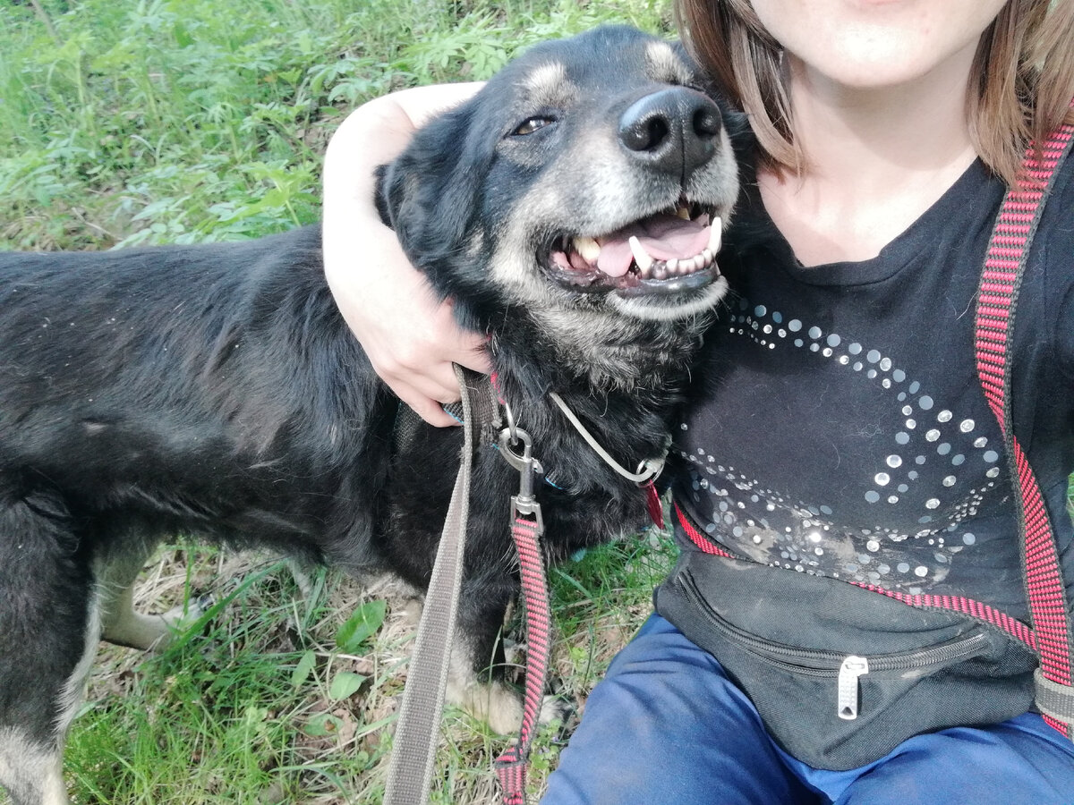 Ива. Собака-улыбака