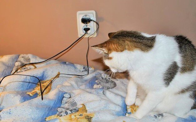 Фото из открытых источников интернета