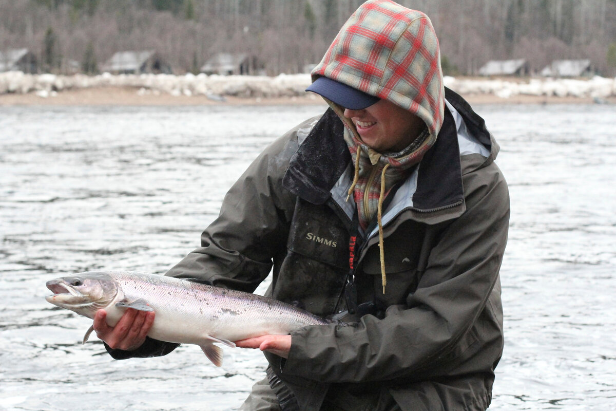 Первая сёмга в начале сезона на реке Варзуга – это всегда самая запоминающаяся рыба.