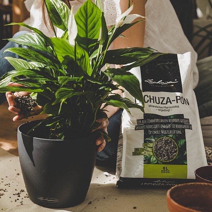 Субстрат LECHUZA-PON