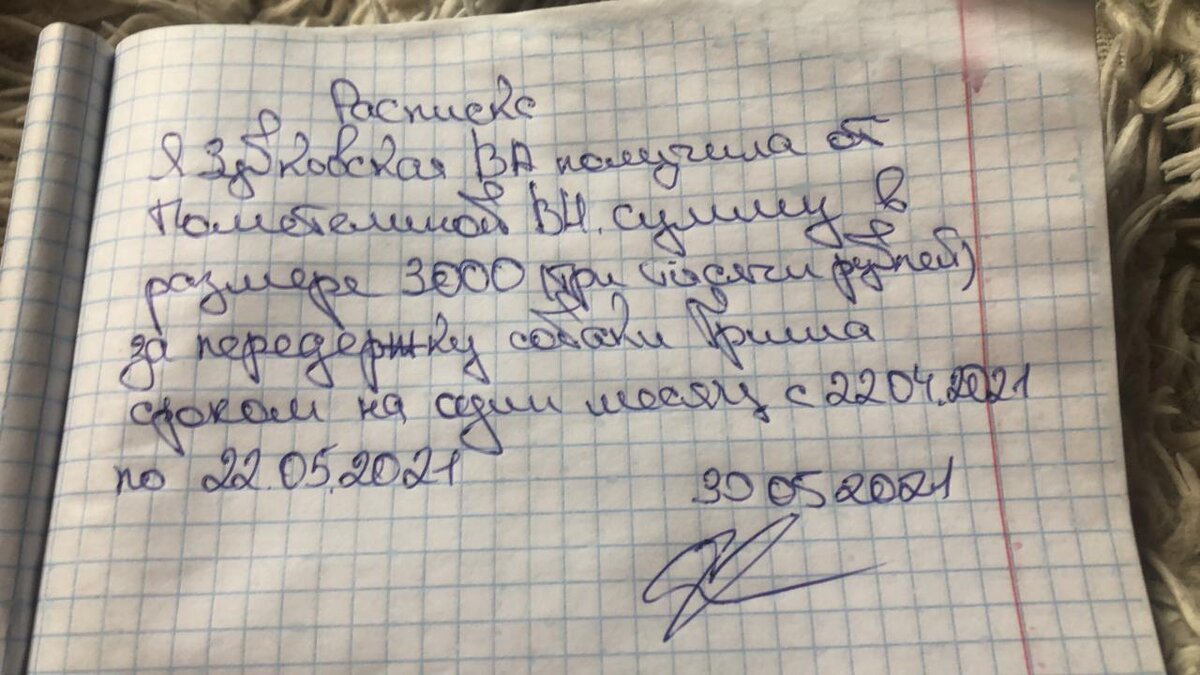Оплата передержки Гриши