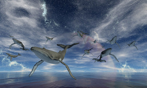 Изображение взято из открытых источников